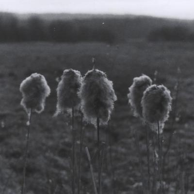 Projekt analoge Fotografie
